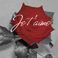 amour